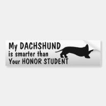 Dachshund - Smarter than honour student - funny Bumper Stickers