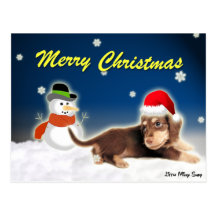 Dachshund Snowman Christmas Postcard
