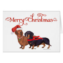 Dachshunds Christmas Cards