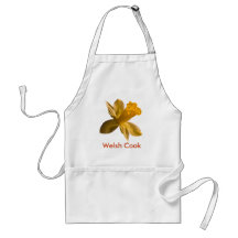 Daffodil Apron