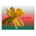 Daffodil Card