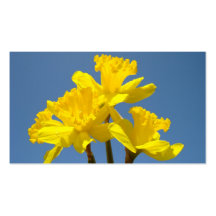Daffodil Flowers Business Cards Floral nature