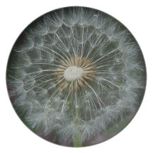 Daffodil Seed Puffball Plate