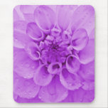 Dahlia Purple Mousepad