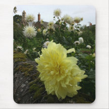 Dahlias in cottage garden mousepad