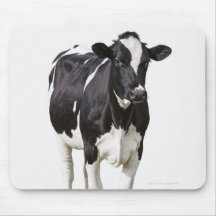 Dairy cow (Bos taurus) on white background Mousepad