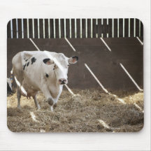 Dairy cow mouse mats
