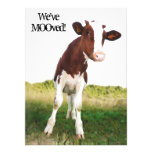 Dairy Cow -  Painted Brown & White Holstein Custom Invites