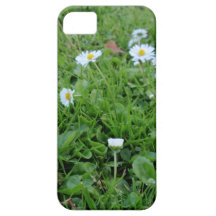 Daises on green iPhone 5 cases