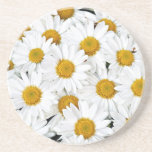 Daisies Coasters