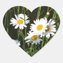 Daisies Heart Sticker