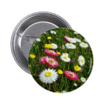 Daisies Patch Pinback Button