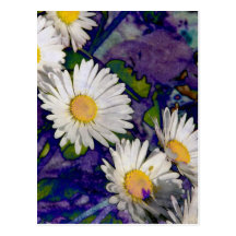 daisies time postcard