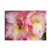 Daisies within Gladioli Canvas Prints