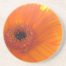 Daisy Coaster