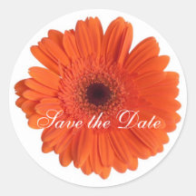 Daisy Custom Floral Sticker