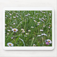 Daisy Days Mousepads