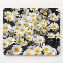 Daisy Delight Mouse Mats
