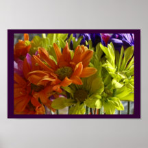 Daisy Explosion Poster