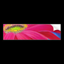 DAISY FLOWER ART - MULTI bumper stickers