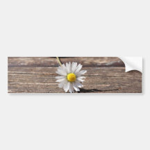 Daisy Flower Bumper Stickers