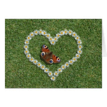 Daisy Love heart and Peacock Butterfly Card