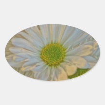 Daisy Love Sticker