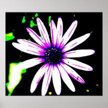 Daisy Poster