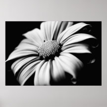 Daisy Print