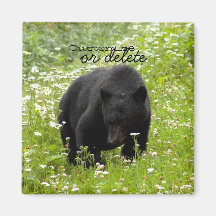 Daisy The Black Bear; Customisable Refrigerator Magnets