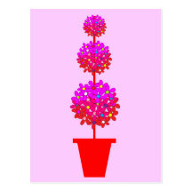 Daisy Topiary in Pinks Postcard