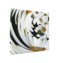 Daisy "warp" wrapped canvas print