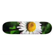 Daisy White Flower Skate Deck