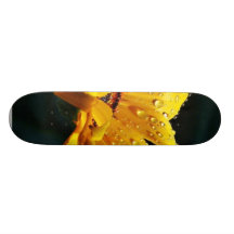 Daisy With Raindrops Skate Board