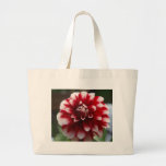 dalia 2 canvas bag