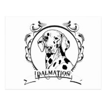 DALMATION POST CARD