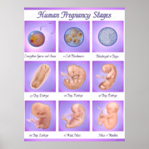 Dance Of Life Pregnancy Art Print