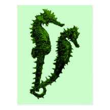 Dance Of The Seahorses (Green) Post Cards
