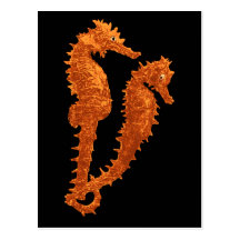 Dance Of The Seahorses (Orange) Postcard