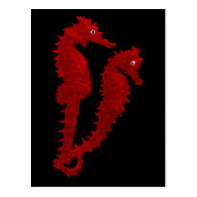 Dance Of The Seahorses (Red) Post Cards