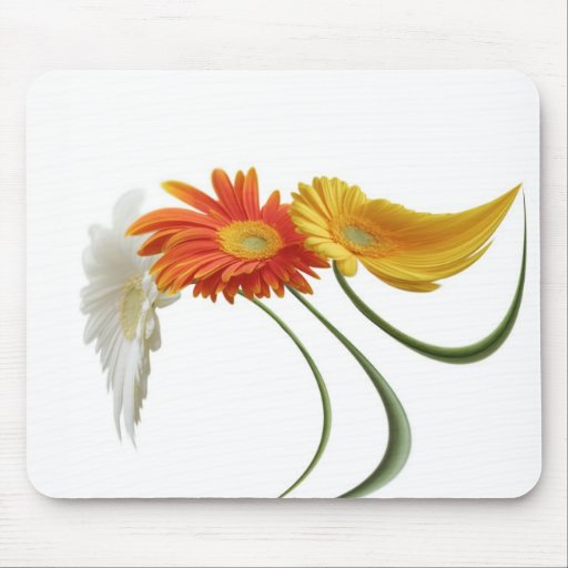 Dancing daisies mouse mats