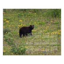 Dandelion Bear; 2013 Calendar Photo