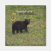 Dandelion Bear; Customisable Magnets