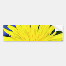 Dandelion In Blossom Bumper Sticker