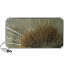 dandelion mp3 speaker