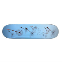 Dandelion on Baby Blue Skateboard
