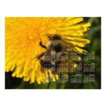 Dandelion Pollenator; 2013 Calendar Photograph
