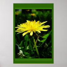 Dandelion Print