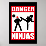 Danger Ninjas Poster
