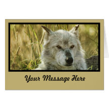 Dangerously Calm in tan Greeting Card